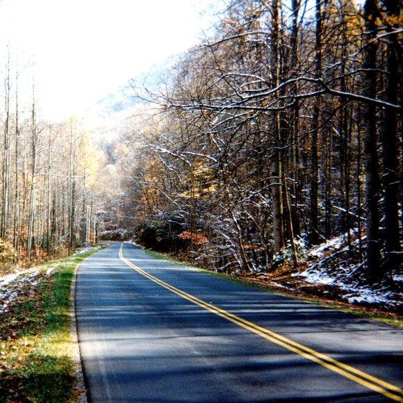 Meet your Posher, Shelley - Picture 1 of 1